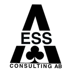 ESS CONSULTING AB – varumärkesbild för ESS consulting AB