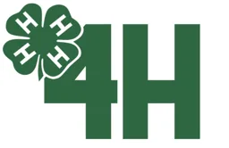H H H H 4H – varumärke, RIKSFÖRBUNDET SVERIGES 4 H