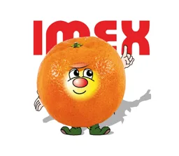 IMEX – varumärkesbild för IMEX AB