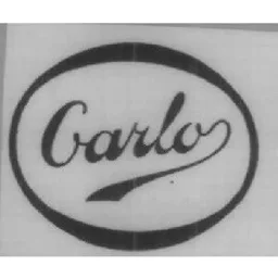 CARLO – varumärkesbild för Carlobolaget AB