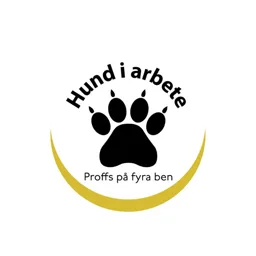 Hund i arbete Proffs på fyra ben – varumärkesbild för Petinfocus AB
