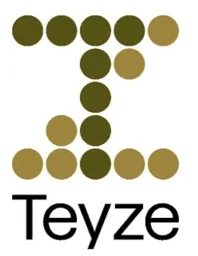 Teyze – varumärkesbild för Teyze information systems AB
