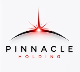 PINNACLE HOLDING – varumärkesbild för Demex AB