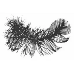 Figurmärke – varumärkesbild för Fenix Outdoor AB