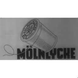MÖLNLYCKE – varumärkesbild för Essity Hygiene and Health Aktiebolag