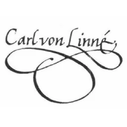 Carl von Linné – varumärkesbild för Fyrklövern Aktiebolag