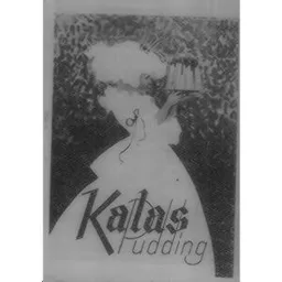 KALAS PUDDING – varumärkesbild för Haugen-Gruppen AB