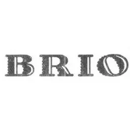 BRIO – varumärke, BRIO AB