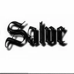 Salve – varumärkesbild för Destination Kalmar Aktiebolag