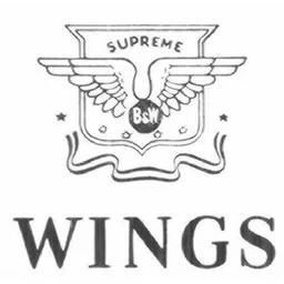 WINGS – varumärkesbild för Swedish Match North Europe AB