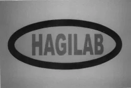 HAGILAB – varumärke, Slutplattan HAMLO 127028 AB