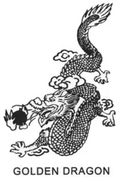 GOLDEN DRAGON – varumärkesbild för CT Food AB