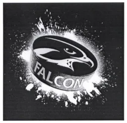 FALCON – varumärkesbild för Carlsberg Sverige Aktiebolag